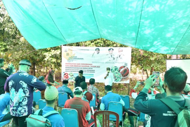 Antutan Siapkan 2.000 Hektare Lahan untuk Lada dan Kakao