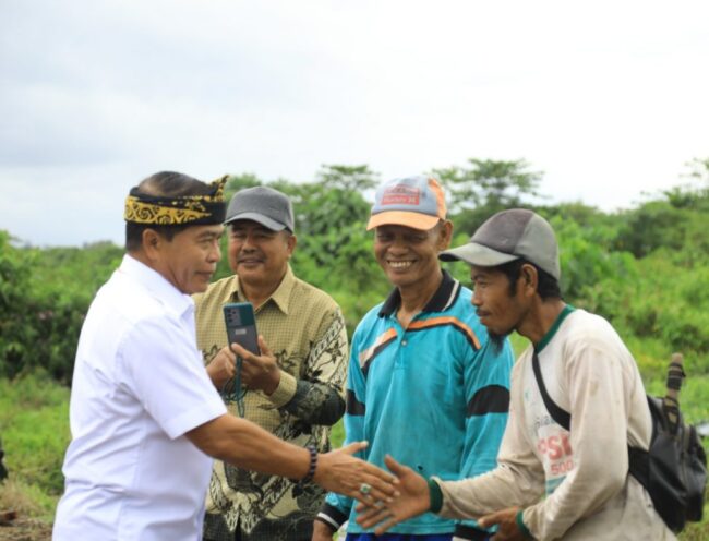 Perkebunan dan Tanaman Pangan Pengaruhi Pendapatan Petani