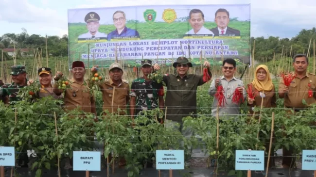 Kementan Prioritaskan Sektor Pertanian di PPU Untuk Kebutuhan Pangan IKN