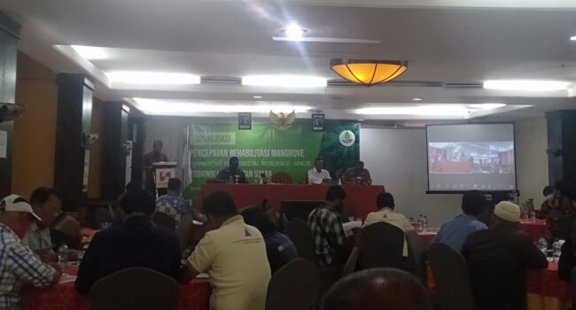 Sekprov Kaltara Buka Sosialisasi Percepatan Rehabilitasi Mangrove Di Kaltara