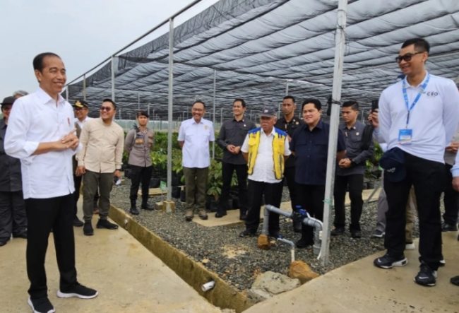 Dampingi Kunjungan Presiden di IKN, Dirut PLN Siap Penuhi Kebutuhan Listrik dari Energi Bersih