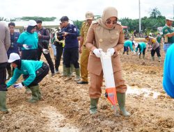 Berau Ambil Bagian Penanaman 1 Juta Hektar Jagung