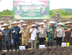 Pemprov Kaltara dan Polda Laksanakan Penanaman Jagung Serentak 1 Juta Hektar