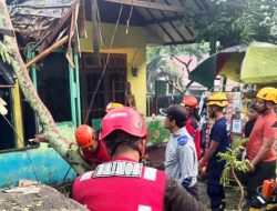 Tim Brimob Turun Tangan Bantu Rumah Warga Kena Pohon Tumbang