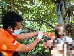 Ditemukan Tewas Tergantung di Kebun, Pemuda 24 Tahun Warga Desa Jembayan