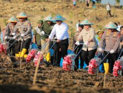 Mentan Tanam Jagung Serentak Bersama Polri Didukung Titiek Soeharto