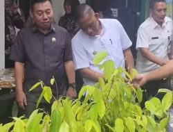 BULUNGAN BERKOLABORASI BANGUN KEBUN RAKYAT