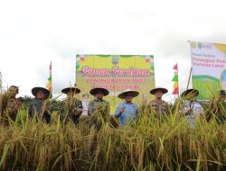 Wagub Panen Padi Perdana Varietas Lokal di Desa Wonowulyo Bulungan