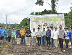 Kembangkan Kawasan Agrokompleks, Pemkab Bulungan Bangun di Desa Long Buang