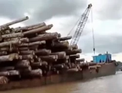 Tim SAR Lakukan Pencarian, Buruh Kayu Tenggelam di Sungai Mahakam Samarinda