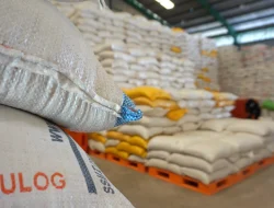 Bulog Kaltim-Kaltara Serap 9.500 Ton Beras, Stok Aman hingga 2026
