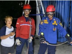 Ular Kobra Berhasil Dievakuasi Petugas Disdamkar Kota Samarinda