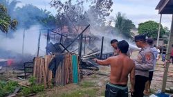 Kandang Ayam di Batu Putih Terbakar, Kerugian Capai Puluhan Juta