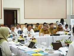 123 Desa di Perbatasan Kaltara Belum Berlistrik, Wagub Dukung Percepatan Lisdes