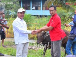Wabup Bulungan Serahkan Bantuan Sapi Qurban di Teluk Selimau, Perkuat Semangat Toleransi dan Kebersamaan pada Momentum Iduladha