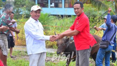 Wabup Bulungan Serahkan Bantuan Sapi Qurban di Teluk Selimau, Perkuat Semangat Toleransi dan Kebersamaan pada Momentum Iduladha