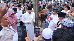 Gubernur Harum Serahkan Sapi Kurban Presiden Prabowo di Islamic Center Samarinda