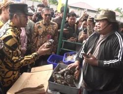 Gerakan Ikan Murah Berau Dapat Apresiasi Gubernur, Perkuat Gizi Keluarga