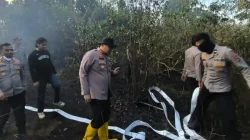 Polisi Usut Dugaan Kesengajaan, 10 Hektare Lahan Terbakar