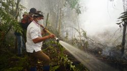 Gubernur Turun Langsung Padamkan Karhutla di Selimau 