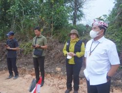Gubernur Tinjau Penanganan Karhutla di KM 12 Desa Gunung Sari