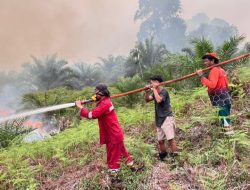 Dishut Perkuat Kesiapsiagaan, 282 Hotspot Terdeteksi hingga September